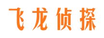 平原市场调查